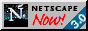 Netscap3.gif (5023 bytes)